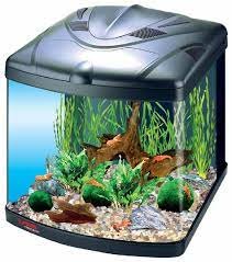Koning Lear Molester Specimen Nano / garnalen aquarium plantenpakket basis (40 tot 60cm) - aquarium123 -  Webwinkel voor online aquariumplanten kopen