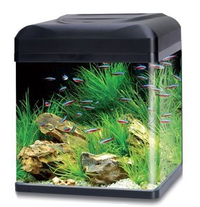 Goed verwerken herfst Plantenpakket Lago 30 - aquarium123 - Webwinkel voor online aquariumplanten  kopen