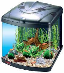 Likken Zuidwest Kerel Nano / garnalen aquarium plantenpakket luxe (40 tot 60cm) - aquarium123 -  Webwinkel voor online aquariumplanten kopen