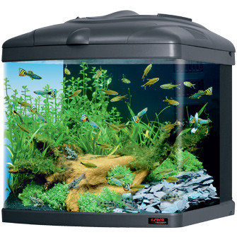 Nano / garnalen - aquarium123 - Webwinkel online kopen